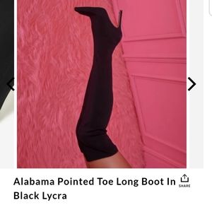 EGO Alabama Pointed Toe Long Boot In Black Lycra